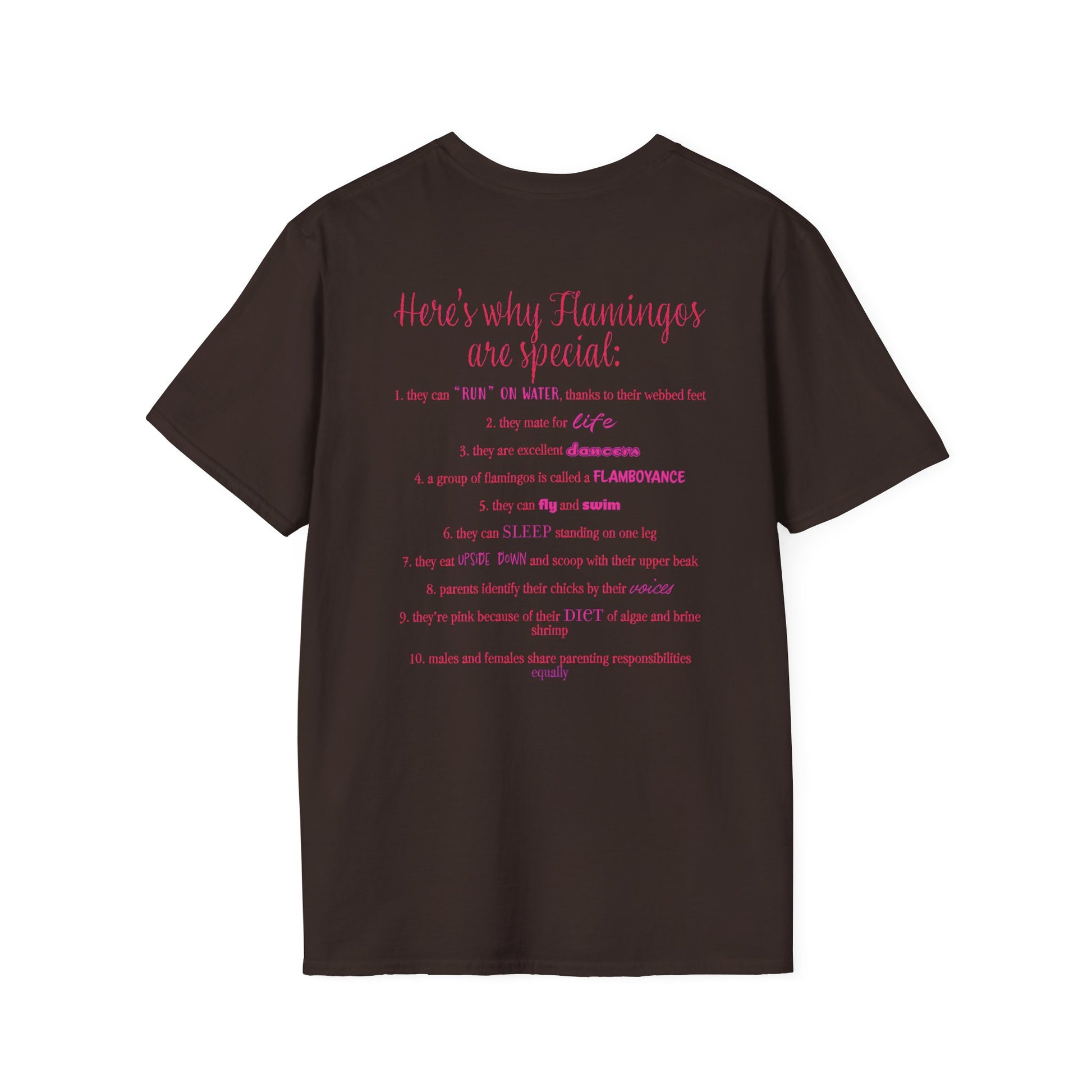 Back of a brown unisex short-sleeve tee that proudly declares “Here’s why flamingos are special” above a list of 10 fun flamingo facts — because nothing says style like bird-based trivia on your back.