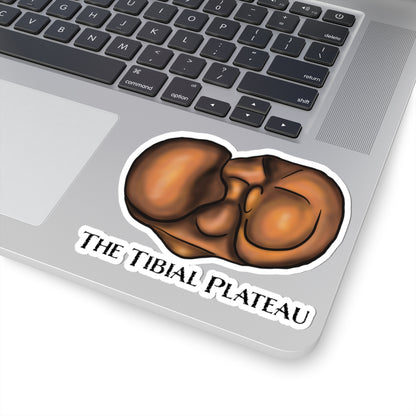 Tibial Plateau Sticker, Knee Anatomy Vinyl Decal, Medical Pun Sticker