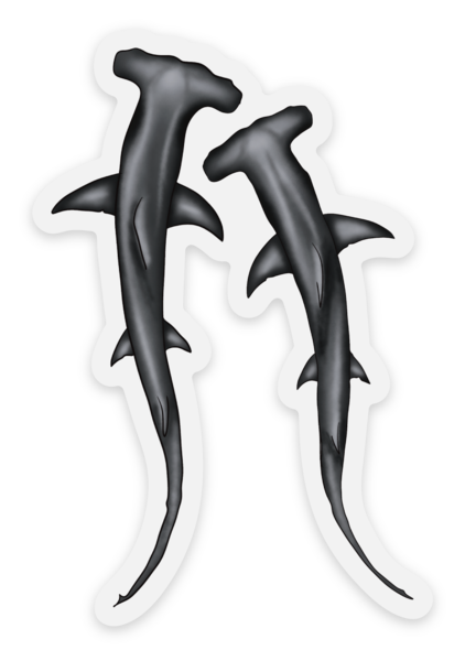 Hammerhead Shark Vinyl Sticker, Ocean Predator Decal, Marine Biology Sticker, Transparent Sticker