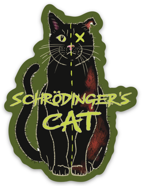 Schrodinger's Cat Magnet, Physics Gift, Quantum Mechanics, Science Joke, Funny Physics Gift, Science Magnet, Fridge Magnet, Car Magnet