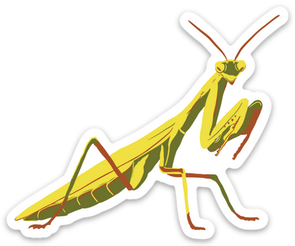 Praying Mantis Magnet, Entomology Magnet, Insect Magnet, Bug Magnet, Praying Mantis Art, Refrigerator Magnet, Car Magnet