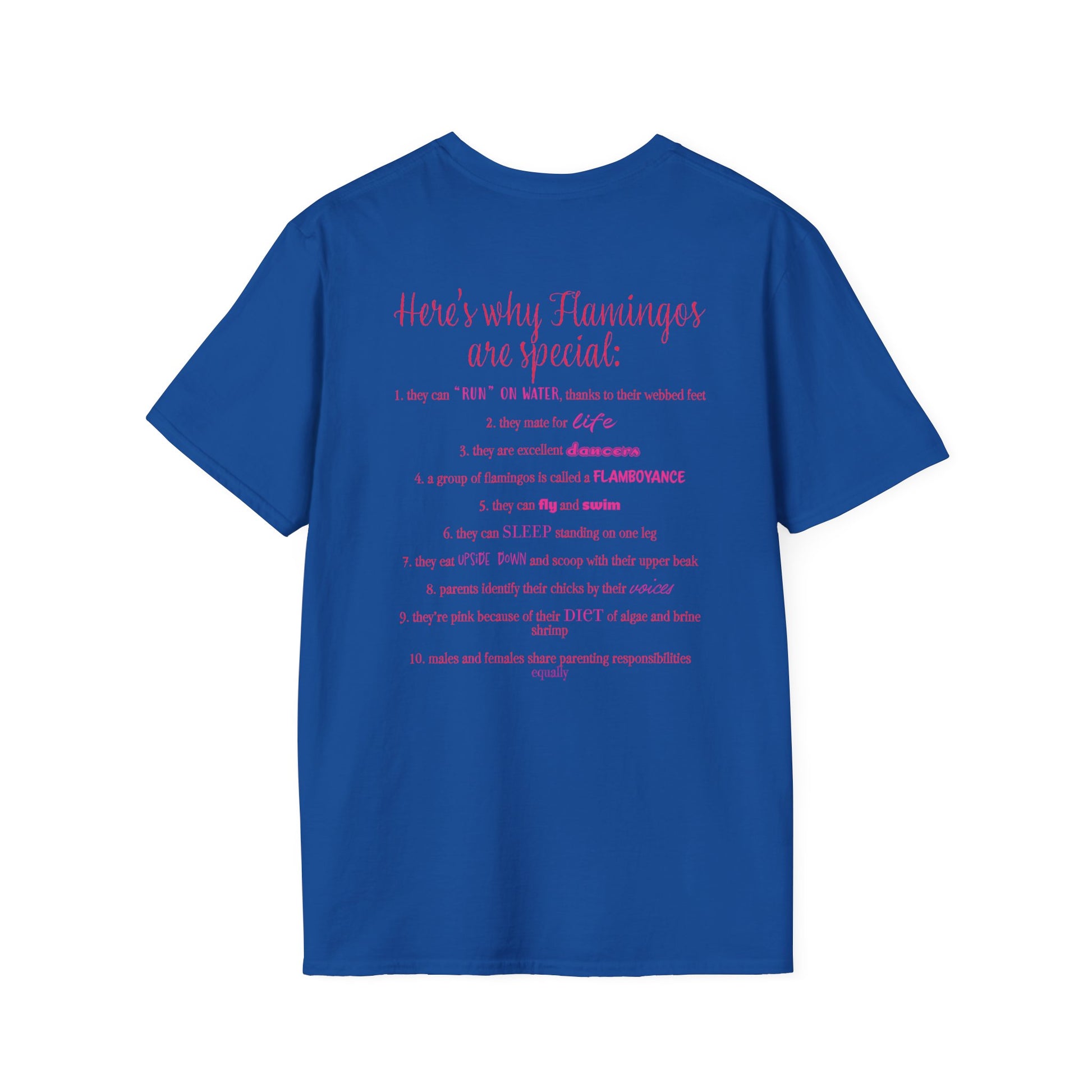 Back of a royal blue unisex short-sleeve tee that proudly declares “Here’s why flamingos are special” above a list of 10 fun flamingo facts — because nothing says style like bird-based trivia on your back.