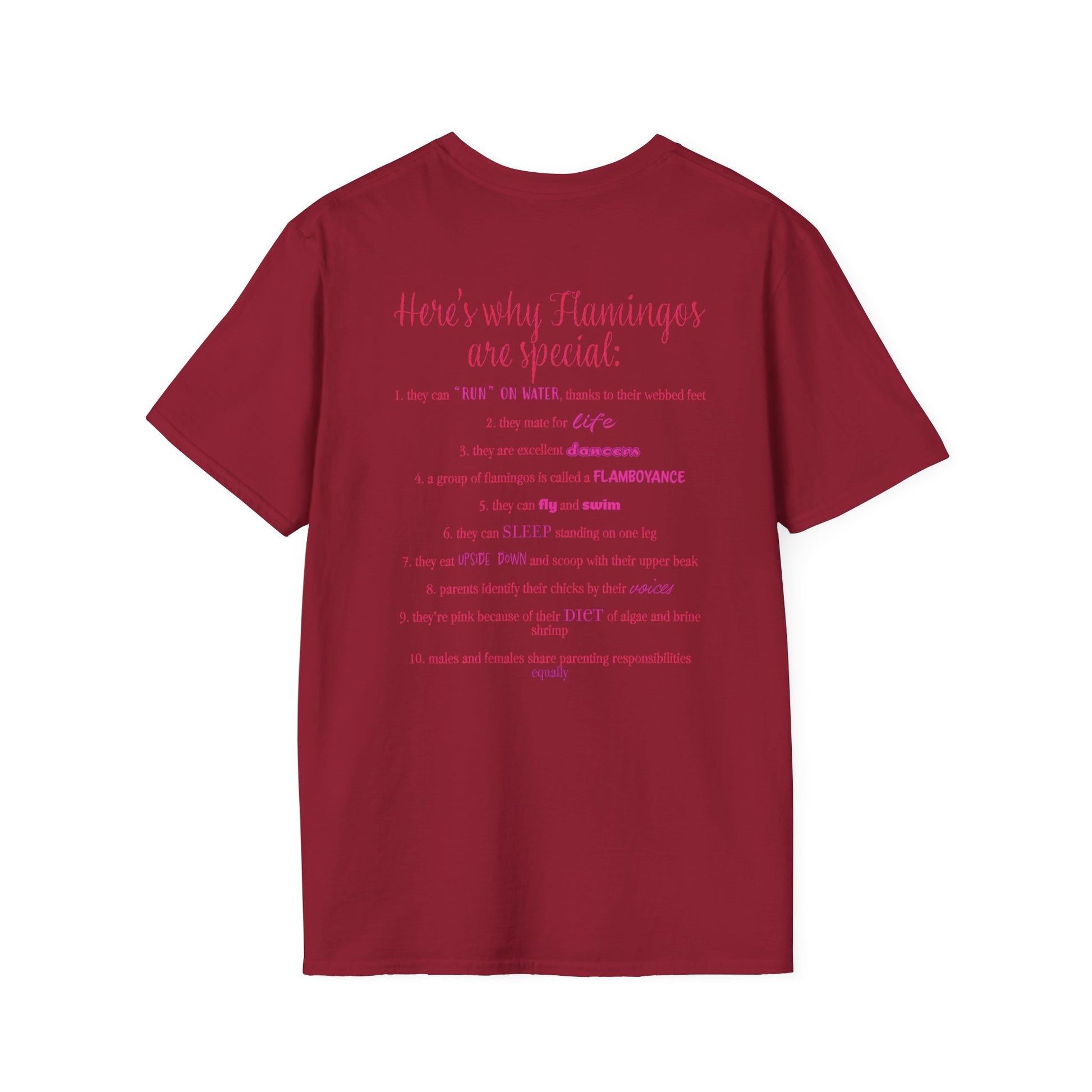 Back of a red unisex short-sleeve tee that proudly declares “Here’s why flamingos are special” above a list of 10 fun flamingo facts — because nothing says style like bird-based trivia on your back.