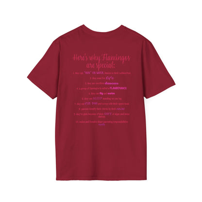Back of a red unisex short-sleeve tee that proudly declares “Here’s why flamingos are special” above a list of 10 fun flamingo facts — because nothing says style like bird-based trivia on your back.
