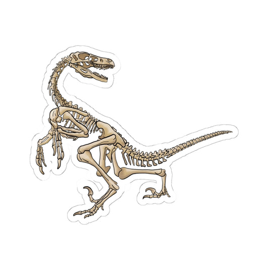 Velociraptor Skeleton Vinyl Sticker, Dinosaur Fossil Decal, Dino Skeleton Sticker