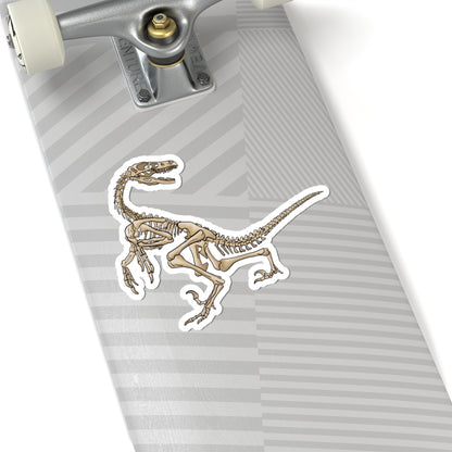 Velociraptor Skeleton Vinyl Sticker, Dinosaur Fossil Decal, Dino Skeleton Sticker