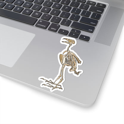 Peregrine Falcon Vinyl Sticker, Bird Skeleton Decal, Anatomical Bird Design