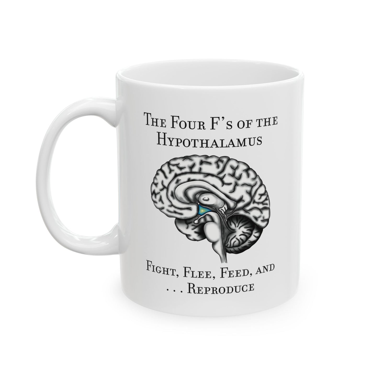 Funny Neuroscience Ceramic Mug: 4 F's of the Hypothalamus Joke, Neurology, Neuroanatomy, Brain Anatomy Gift