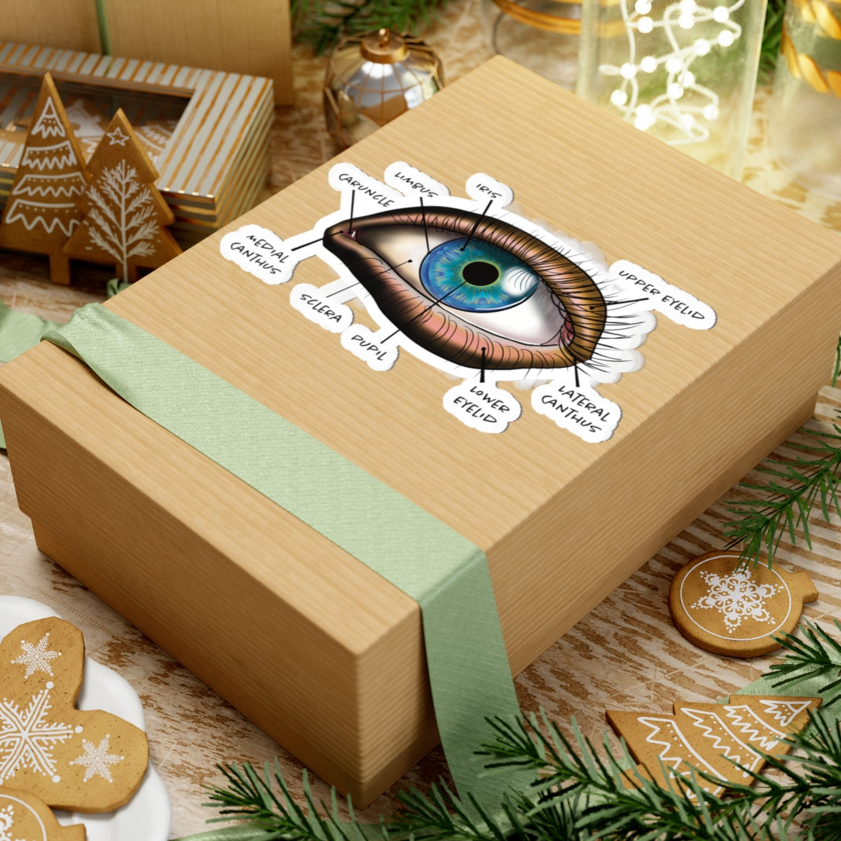 Large sticker adhered to a gift featuring an anatomical diagram of a human eye, showing detailed structures like the iris, pupil, and other parts.