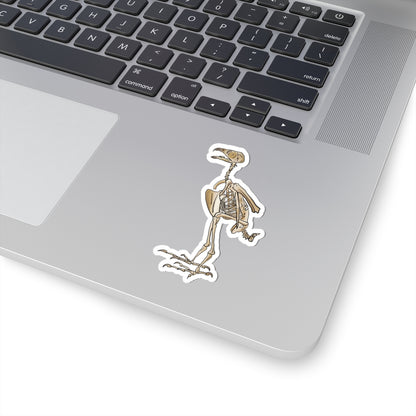 Peregrine Falcon Vinyl Sticker, Bird Skeleton Decal, Anatomical Bird Design
