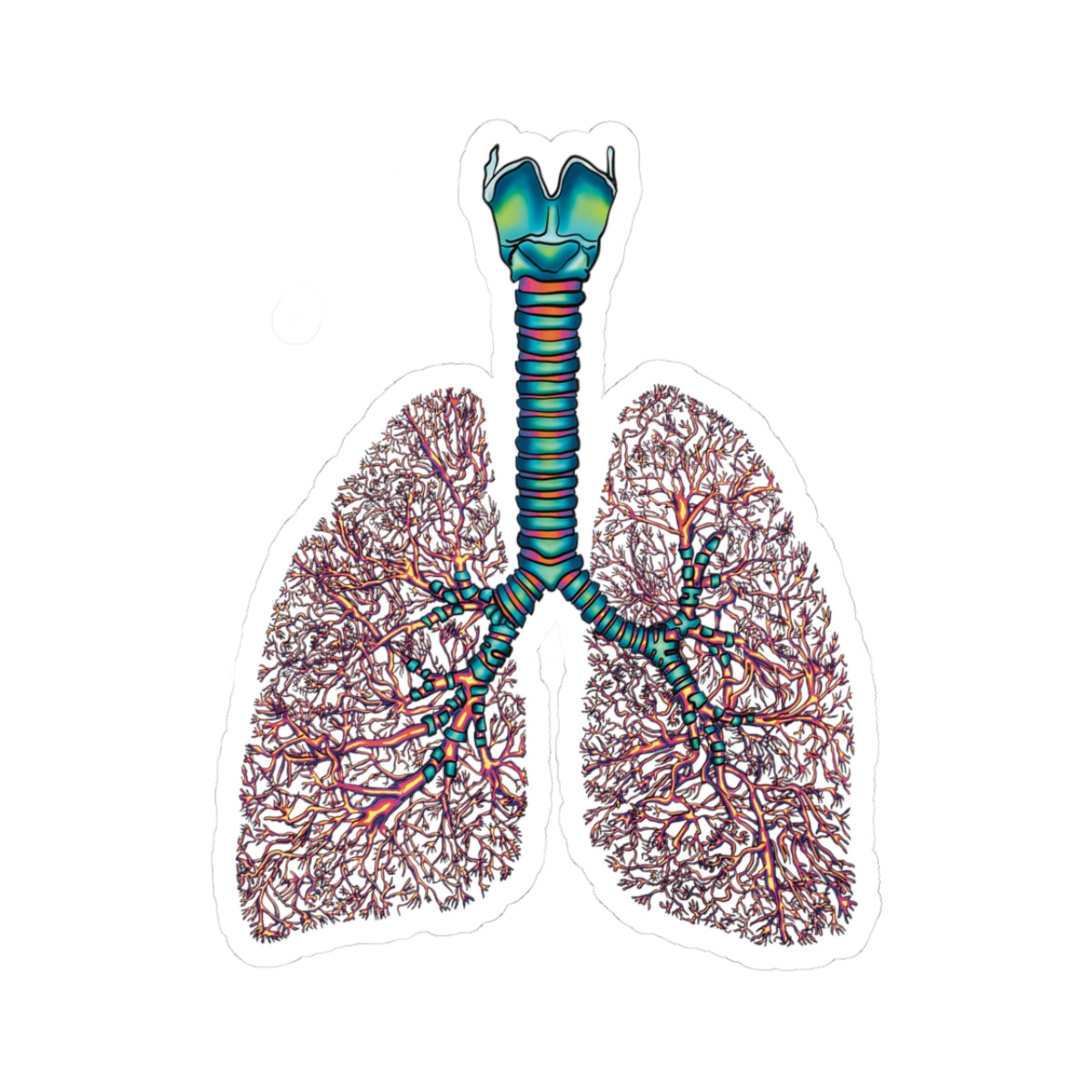 Anatomical Lungs Vinyl Sticker, Bronchial Tree Medical Illustration, Respiratory System Vinyl Decal