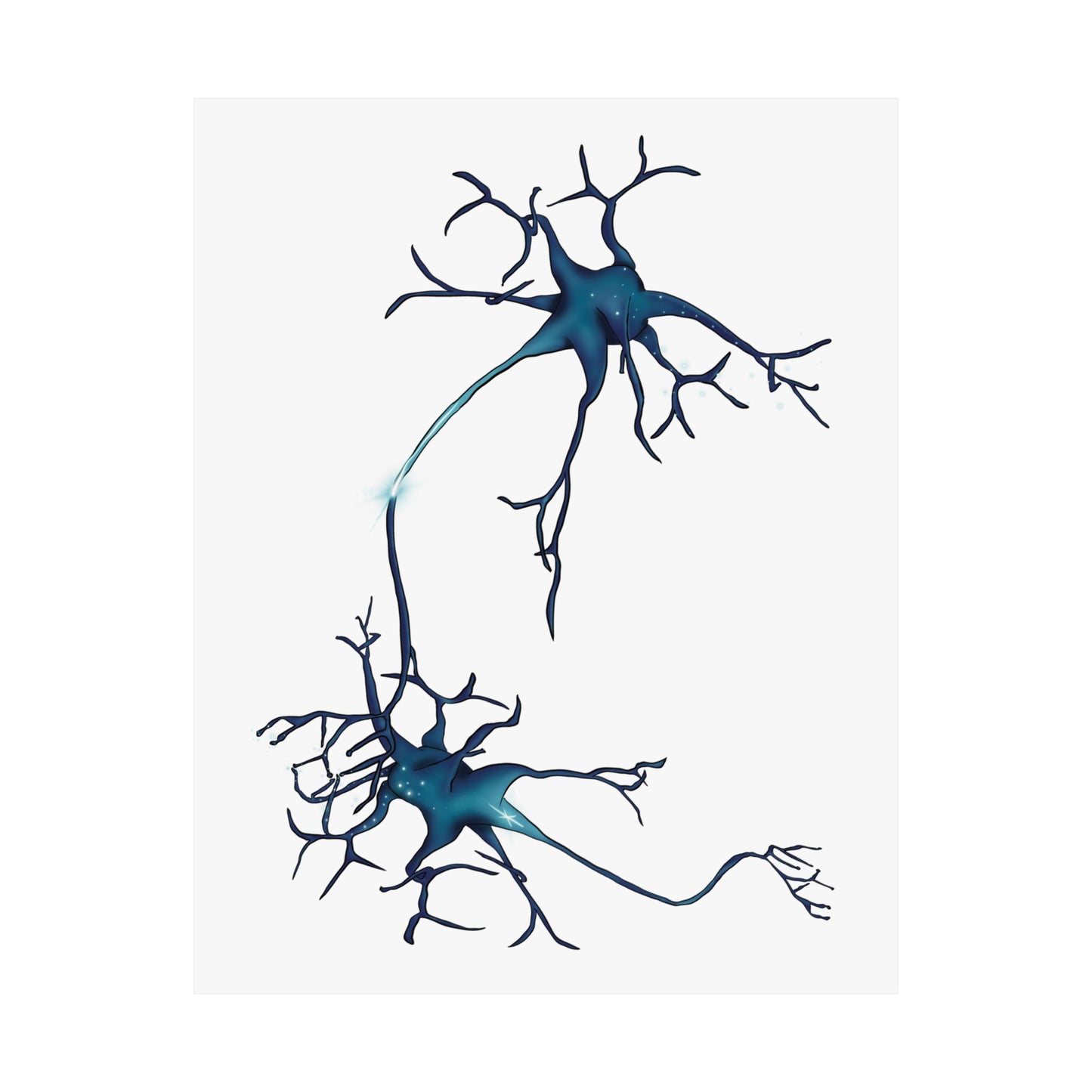 Neuron Wall Poster, Nervous System Anatomical Art Print, Neural Network Poster, Medical Illustration