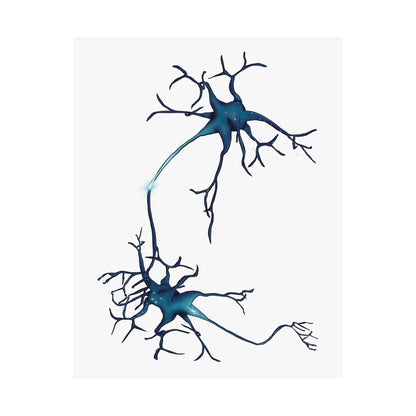 Neuron Wall Poster, Nervous System Anatomical Art Print, Neural Network Poster, Medical Illustration