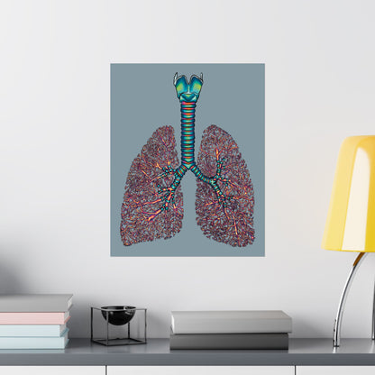 Medium anatomical lungs poster hanging in an office, showing detailed illustrations of the bronchial tree, trachea, and larynx on a blue-grey background.