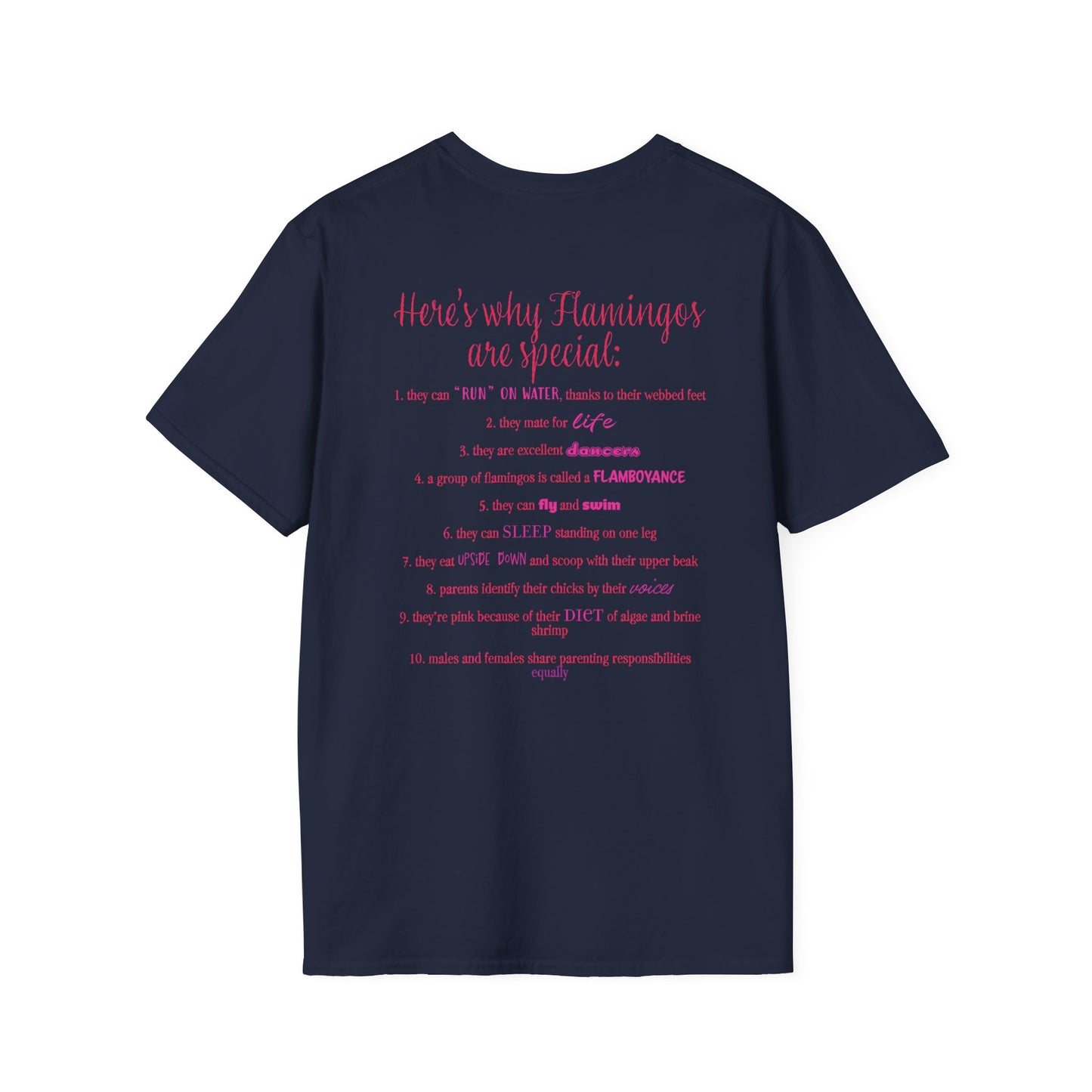 Back of a navy unisex short-sleeve tee that proudly declares “Here’s why flamingos are special” above a list of 10 fun flamingo facts — because nothing says style like bird-based trivia on your back.