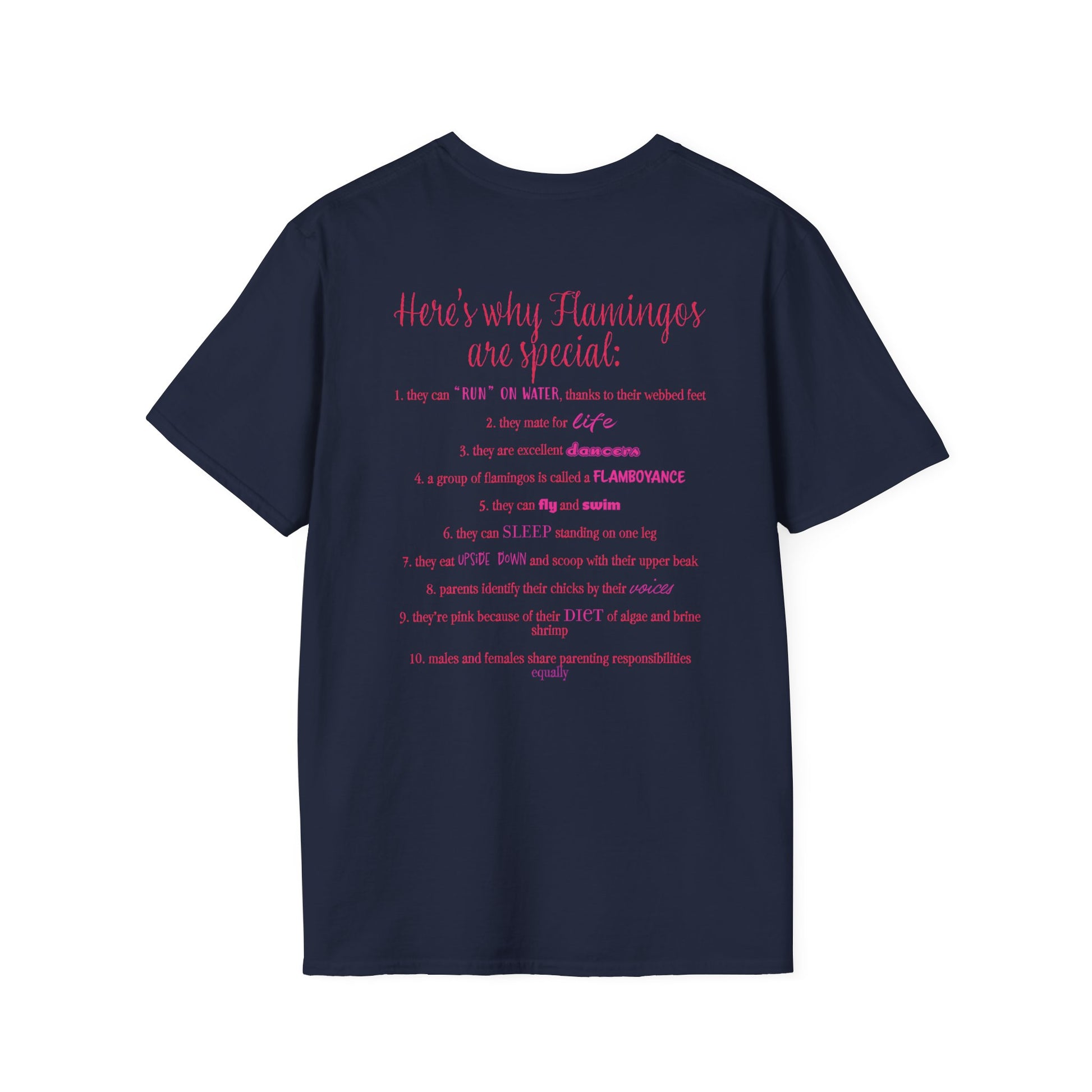 Back of a navy unisex short-sleeve tee that proudly declares “Here’s why flamingos are special” above a list of 10 fun flamingo facts — because nothing says style like bird-based trivia on your back.