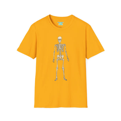 Anatomical Skeleton Graphic T-Shirt, Unisex Short Sleeve Tee, Human Anatomy Gift