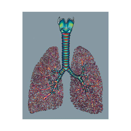 Poster featuring an illustration of anatomical lungs with detailed bronchial tree, trachea, and larynx, set against a blue-grey background.