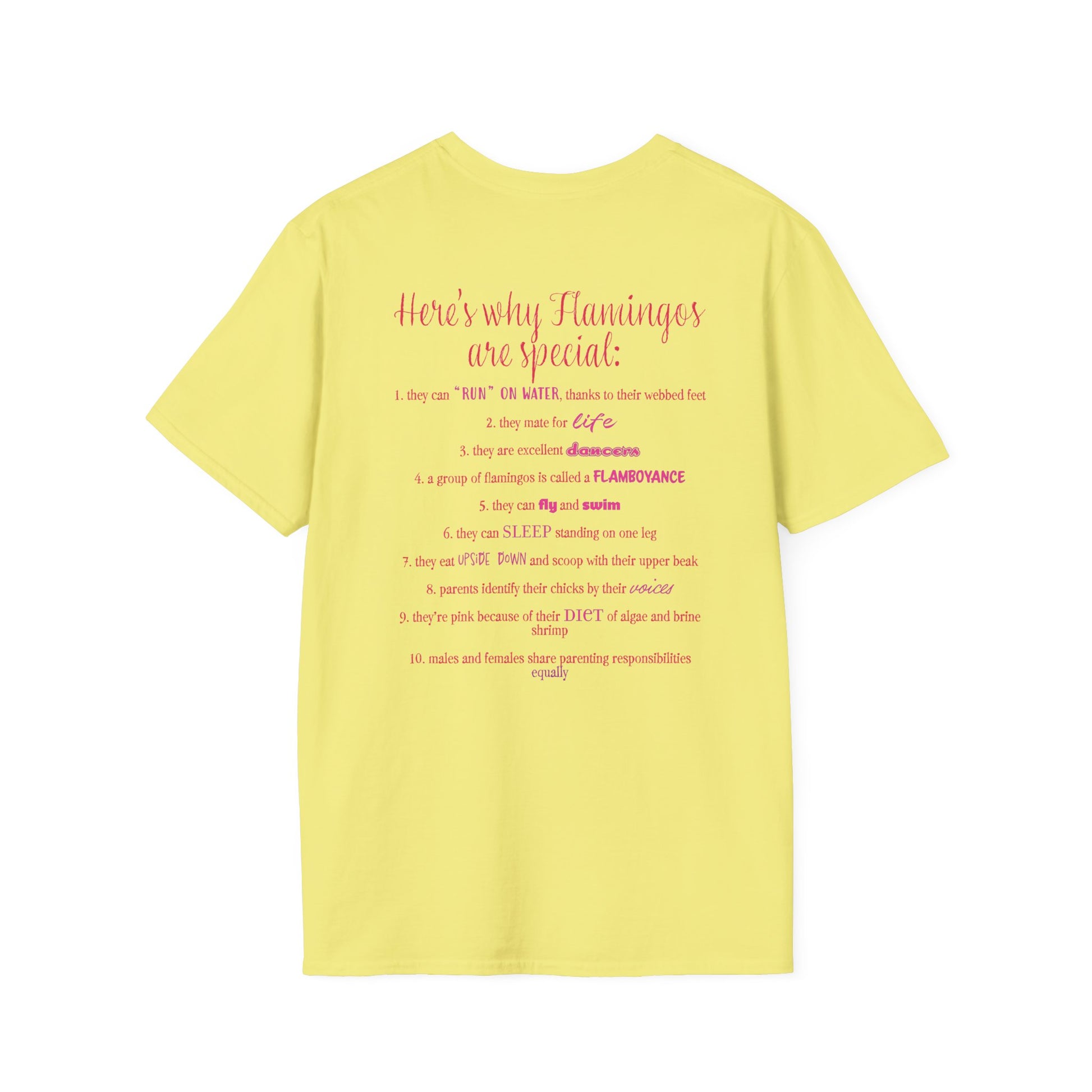 Back of a yellow unisex short-sleeve tee that proudly declares “Here’s why flamingos are special” above a list of 10 fun flamingo facts — because nothing says style like bird-based trivia on your back.