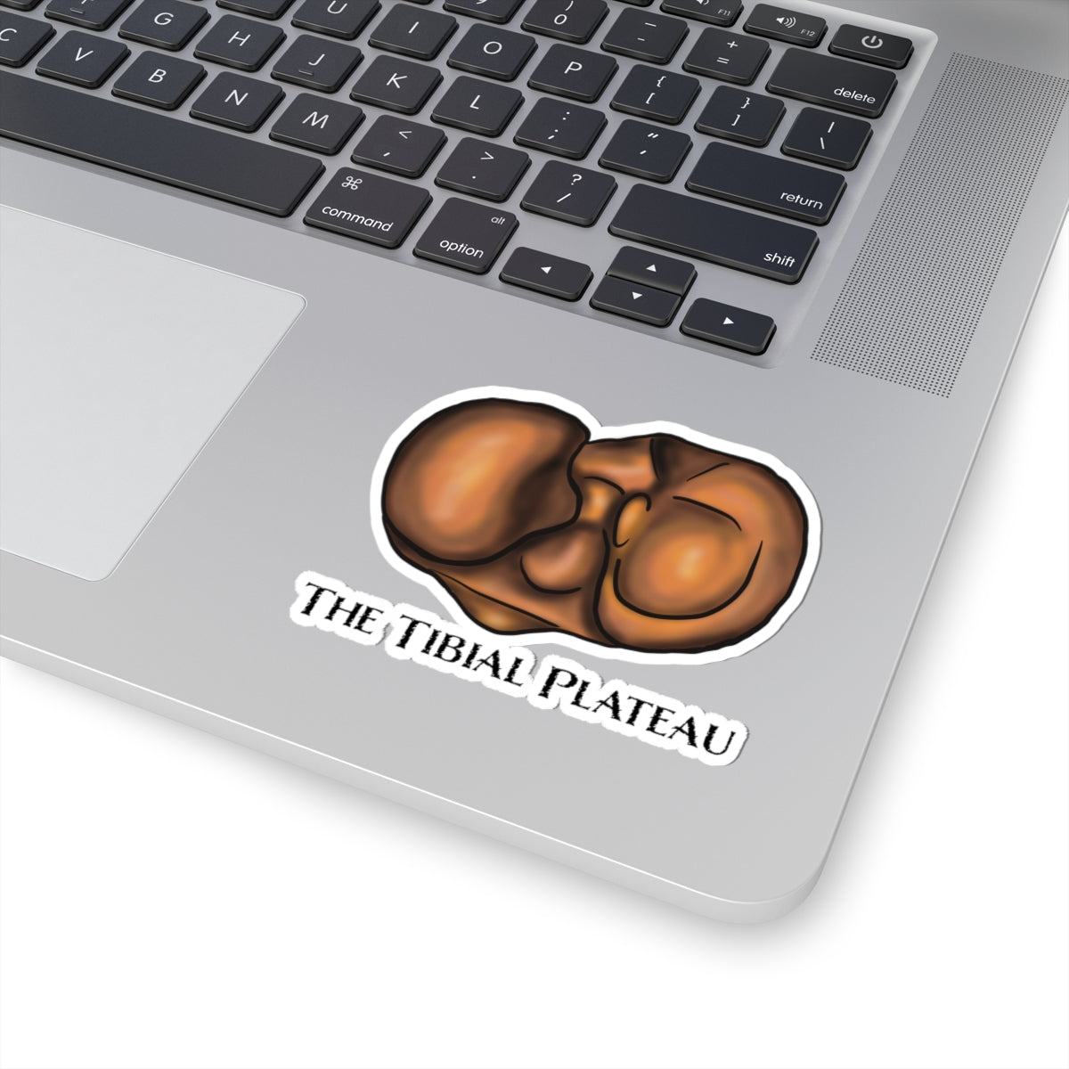 Tibial Plateau Sticker, Knee Anatomy Vinyl Decal, Medical Pun Sticker