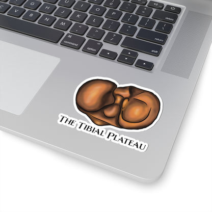 Tibial Plateau Sticker, Knee Anatomy Vinyl Decal, Medical Pun Sticker