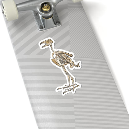 Peregrine Falcon Vinyl Sticker, Bird Skeleton Decal, Anatomical Bird Design