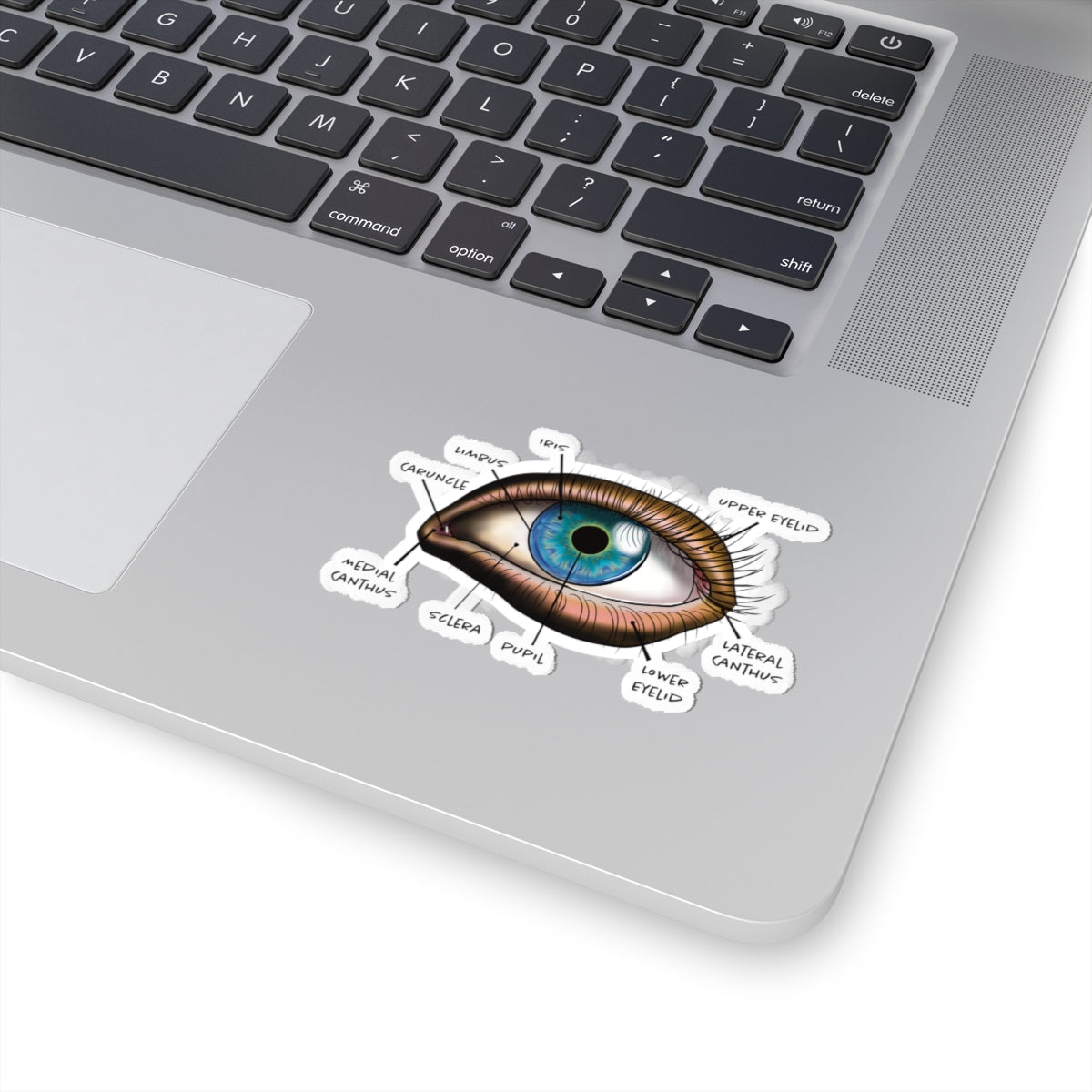 Small sticker adhered to a computer featuring an anatomical diagram of a human eye, showing detailed structures like the iris, pupil, and other parts.