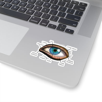Small sticker adhered to a computer featuring an anatomical diagram of a human eye, showing detailed structures like the iris, pupil, and other parts.