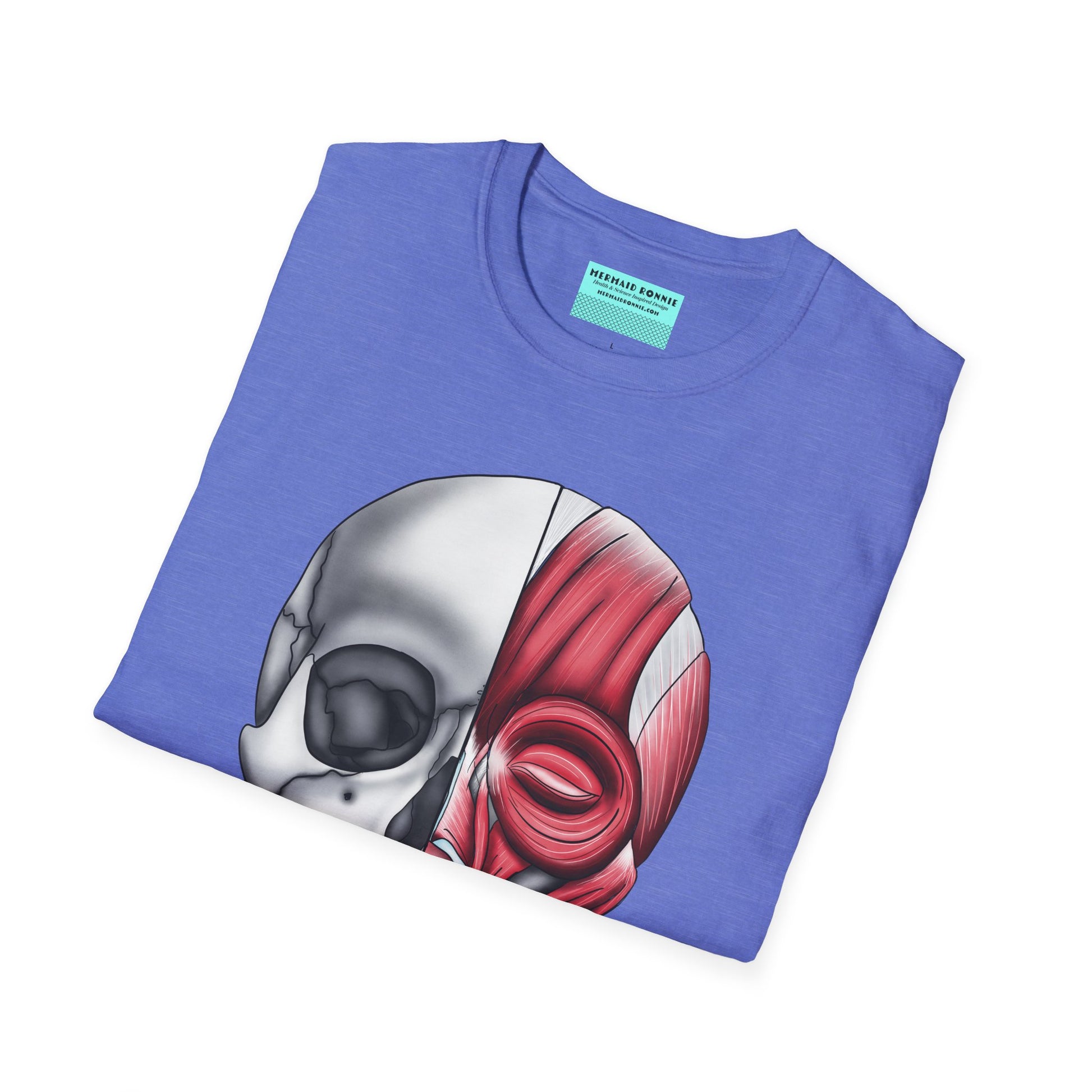 Folded blue shirt featuring an anatomically correct skull illustration, with half of the skull covered by facial muscles.