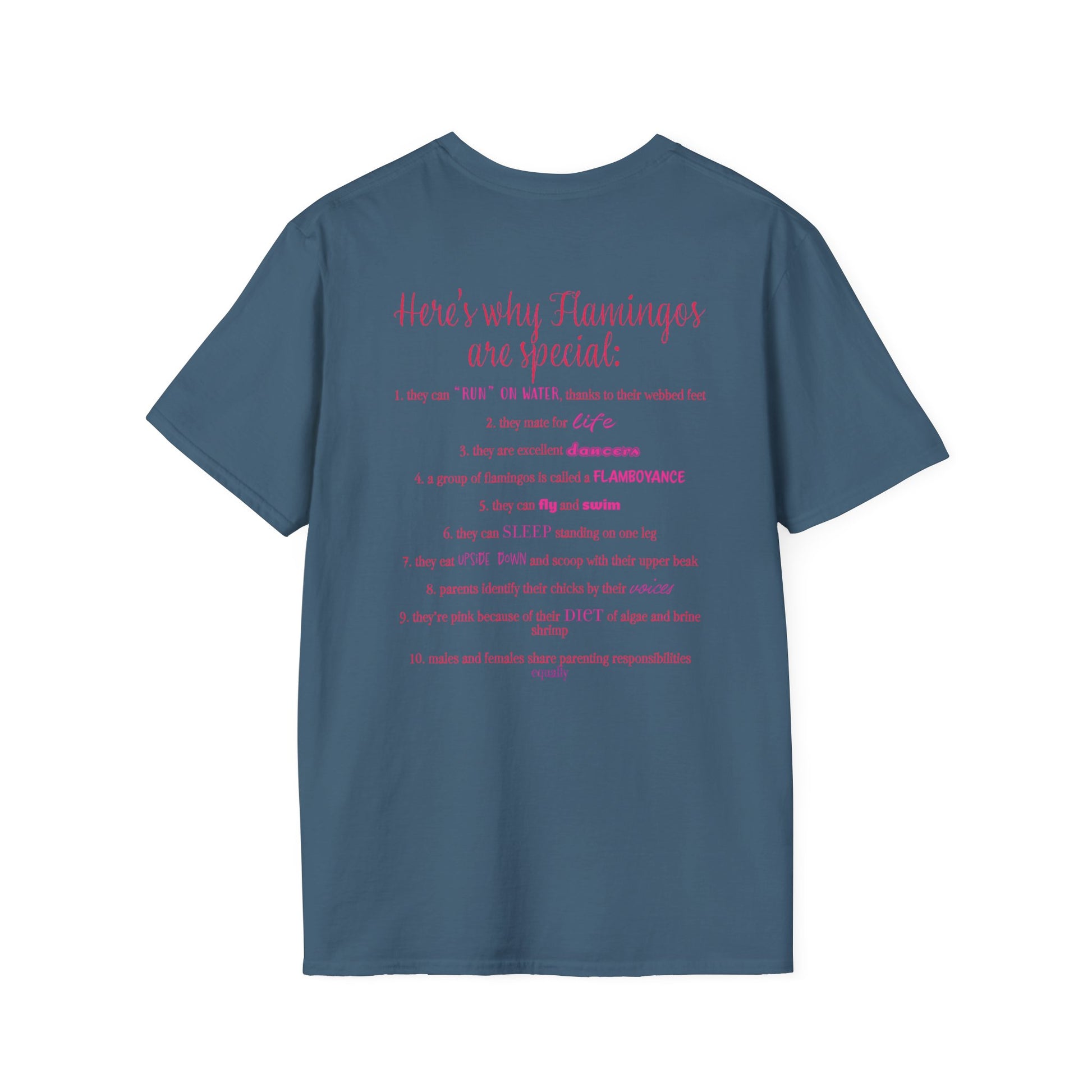 Back of an indigo blue unisex short-sleeve tee that proudly declares “Here’s why flamingos are special” above a list of 10 fun flamingo facts — because nothing says style like bird-based trivia on your back.