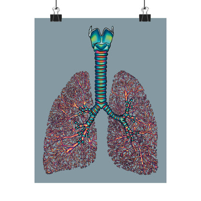 Medium poster displayed using binder clips, featuring an illustration of anatomical lungs with detailed bronchial tree, trachea, and larynx, set against a blue-grey background.