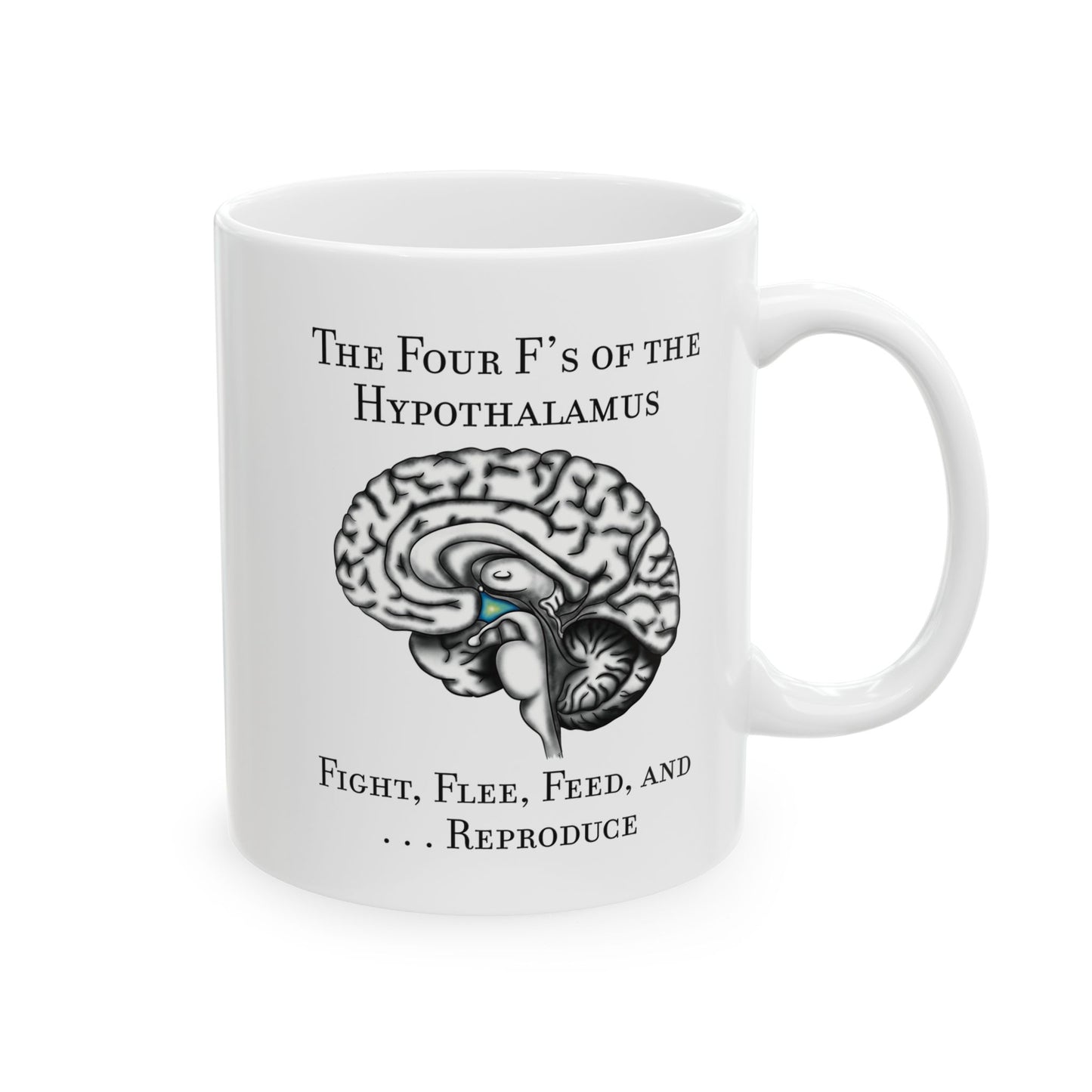 Funny Neuroscience Ceramic Mug: 4 F's of the Hypothalamus Joke, Neurology, Neuroanatomy, Brain Anatomy Gift