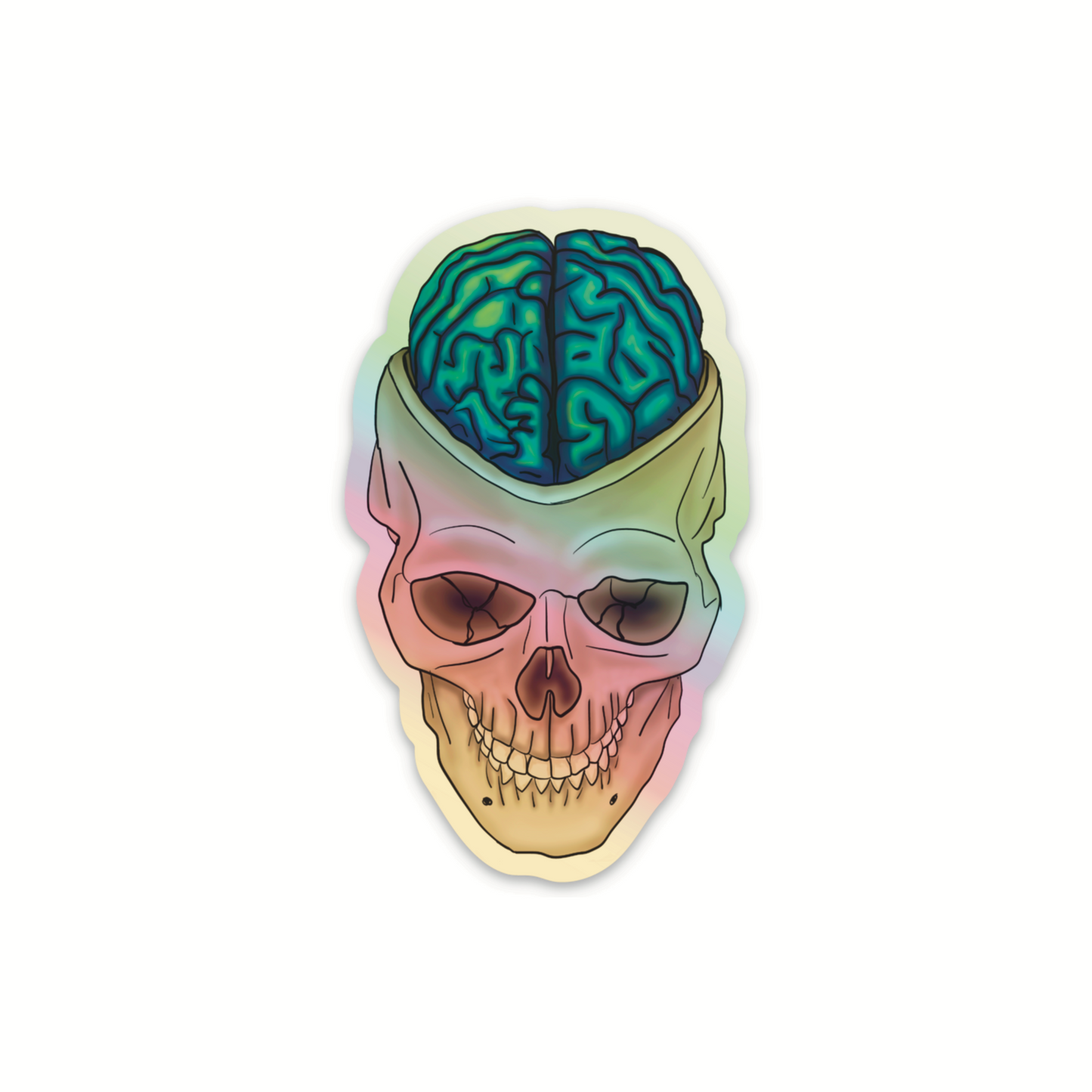 Holographic Brain Vinyl Sticker, Exposed Anatomical Brain in Skull Decal, Medical Art, Anatomy Gift