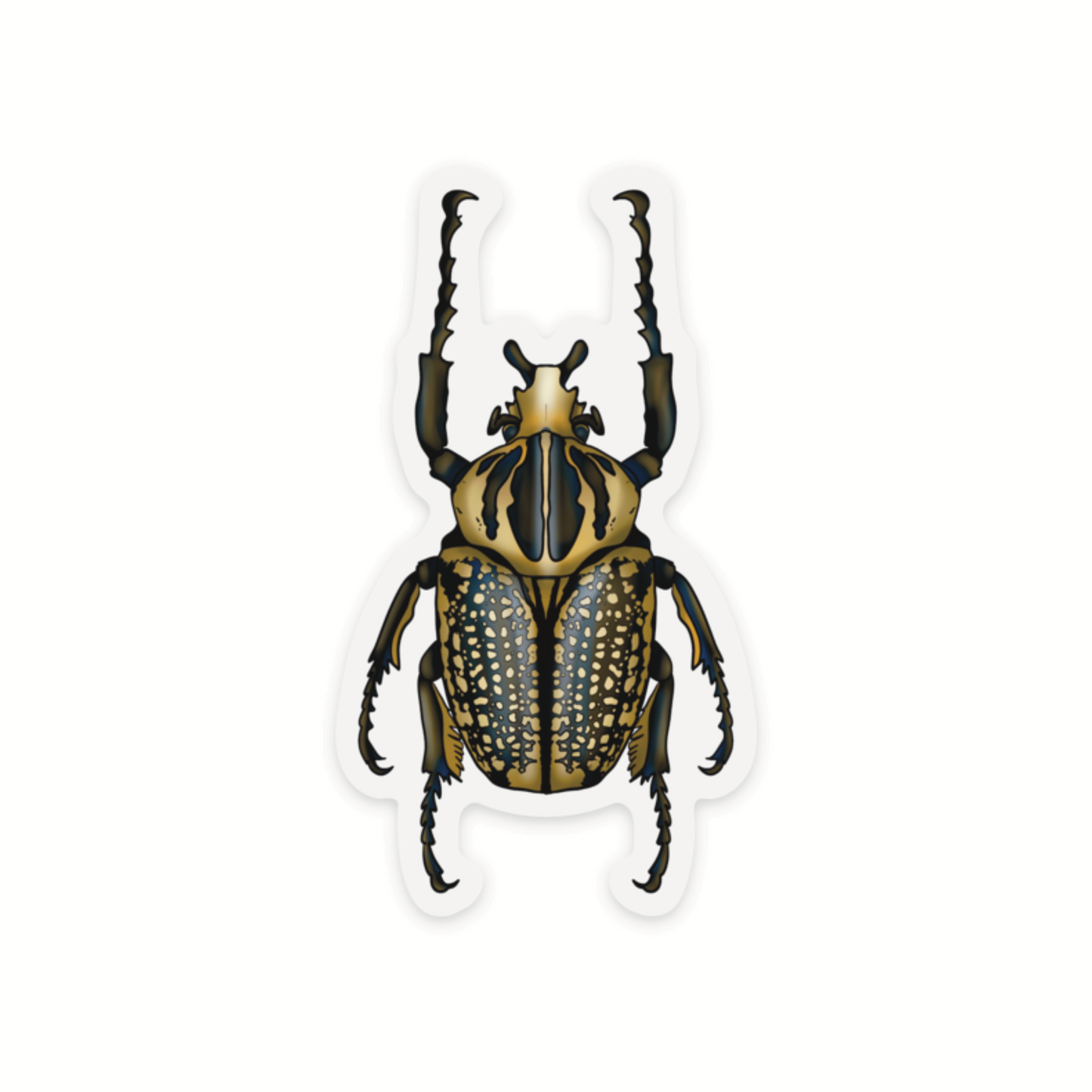 Goliath Beetle Sticker, Clear Vinyl Insect Decal, Entomology Sticker, Bug Decal