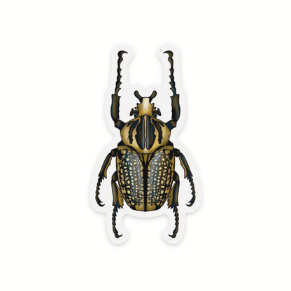 Goliath Beetle Sticker, Clear Vinyl Insect Decal, Entomology Sticker, Bug Decal