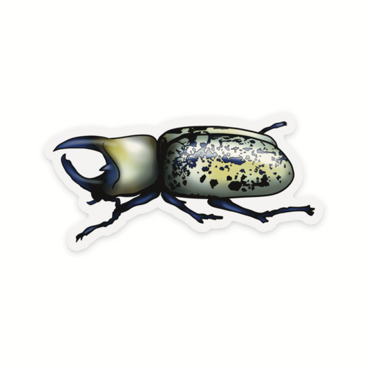  Hercules Beetle Sticker, Insect Clear Vinyl Decal, Entomology Sticker, Bug Enthusiast Gift