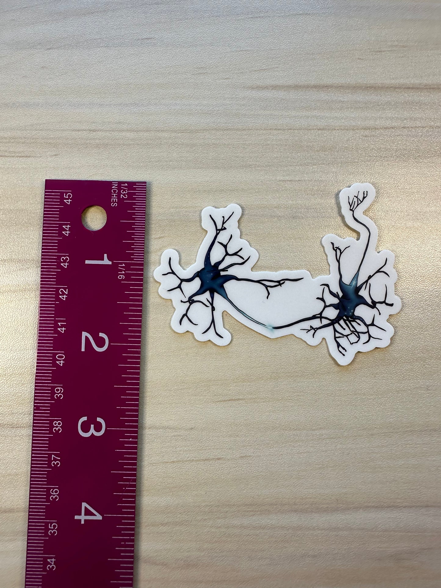 Neuron Vinyl Sticker, Synapse Decorative Sticker, White and Blue Neuroscience Decal