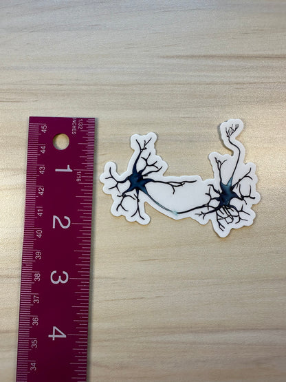 Neuron Vinyl Sticker, Synapse Decorative Sticker, White and Blue Neuroscience Decal