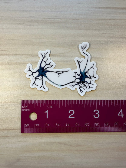 Neuron Vinyl Sticker, Synapse Decorative Sticker, White and Blue Neuroscience Decal