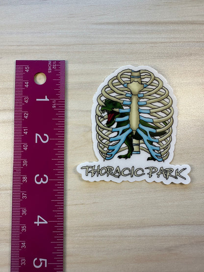 Thoracic Park Vinyl Sticker, T-Rex in Ribcage Decal, Dinosaur in Thorax, Chiropractor Sticker, Orthopedic Sticker