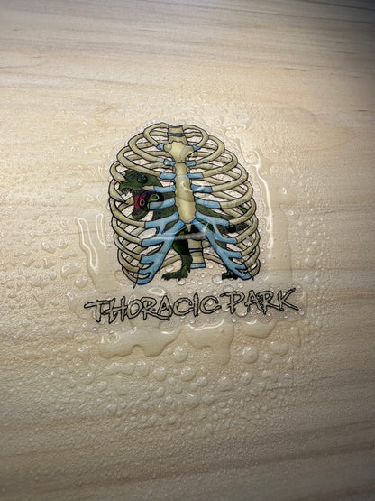 Thoracic Park Vinyl Sticker, T-Rex in Ribcage Decal, Dinosaur in Thorax, Chiropractor Sticker, Orthopedic Sticker
