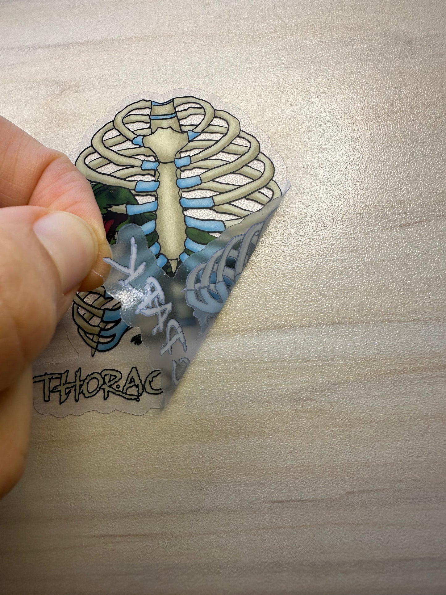 Thoracic Park Vinyl Sticker, T-Rex in Ribcage Decal, Dinosaur in Thorax, Chiropractor Sticker, Orthopedic Sticker