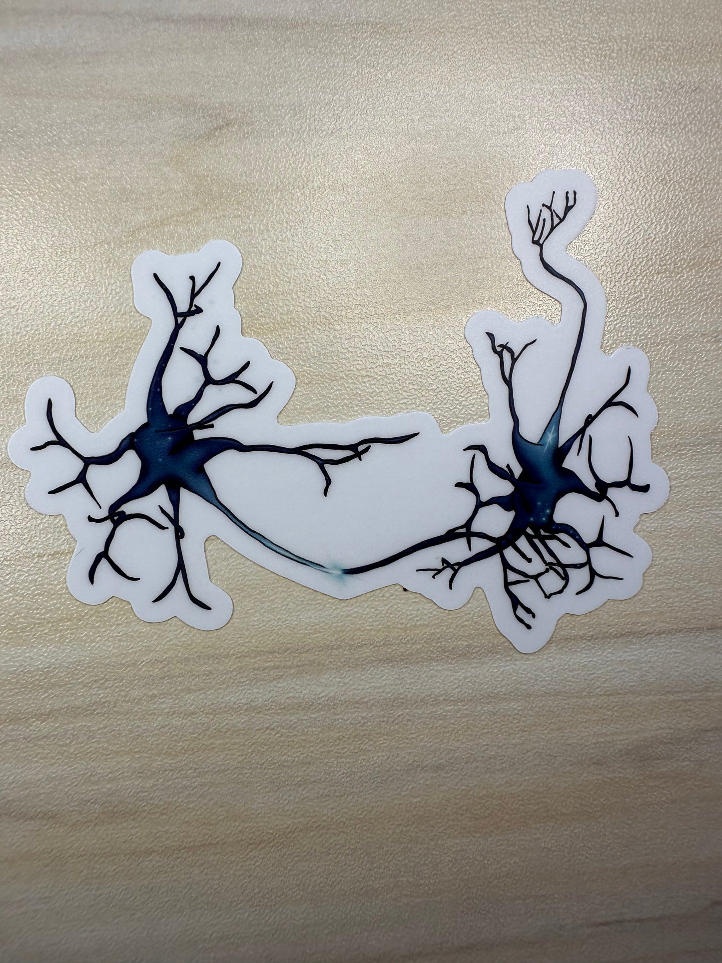 Neuron Vinyl Sticker, Synapse Decorative Sticker, White and Blue Neuroscience Decal
