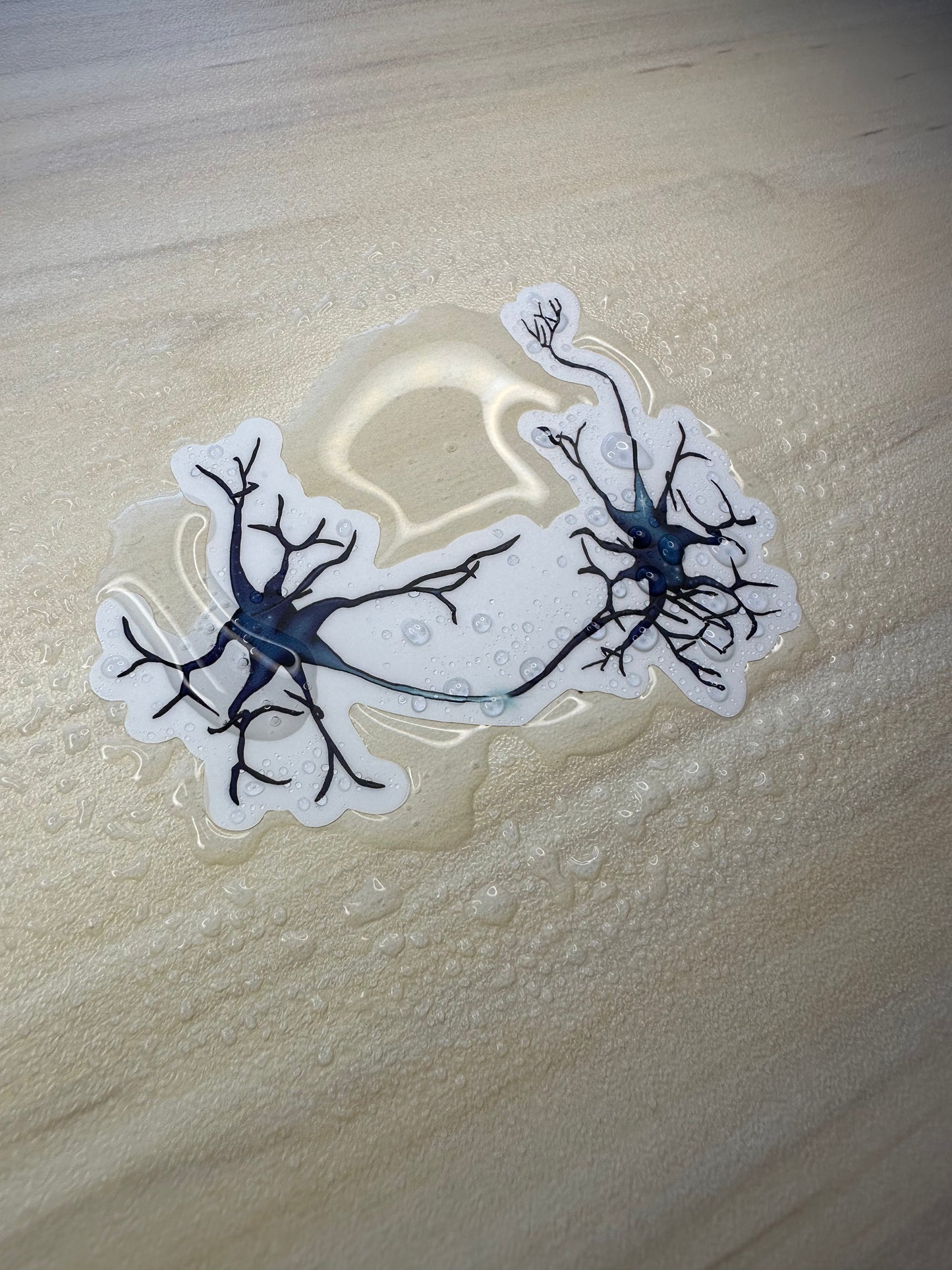 Neuron Vinyl Sticker, Synapse Decorative Sticker, White and Blue Neuroscience Decal