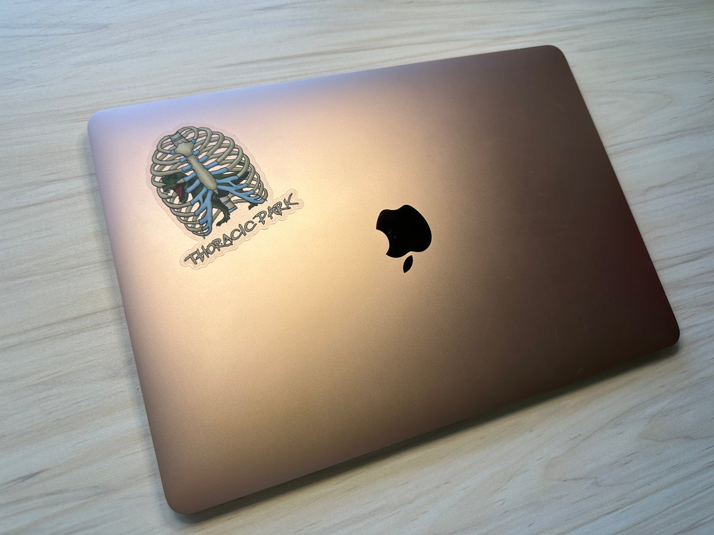 Thoracic Park Vinyl Sticker, T-Rex in Ribcage Decal, Dinosaur in Thorax, Chiropractor Sticker, Orthopedic Sticker