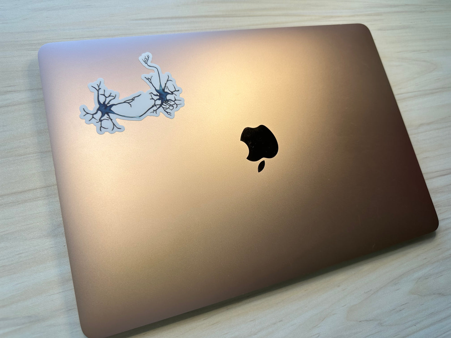 Neuron Vinyl Sticker, Synapse Decorative Sticker, White and Blue Neuroscience Decal