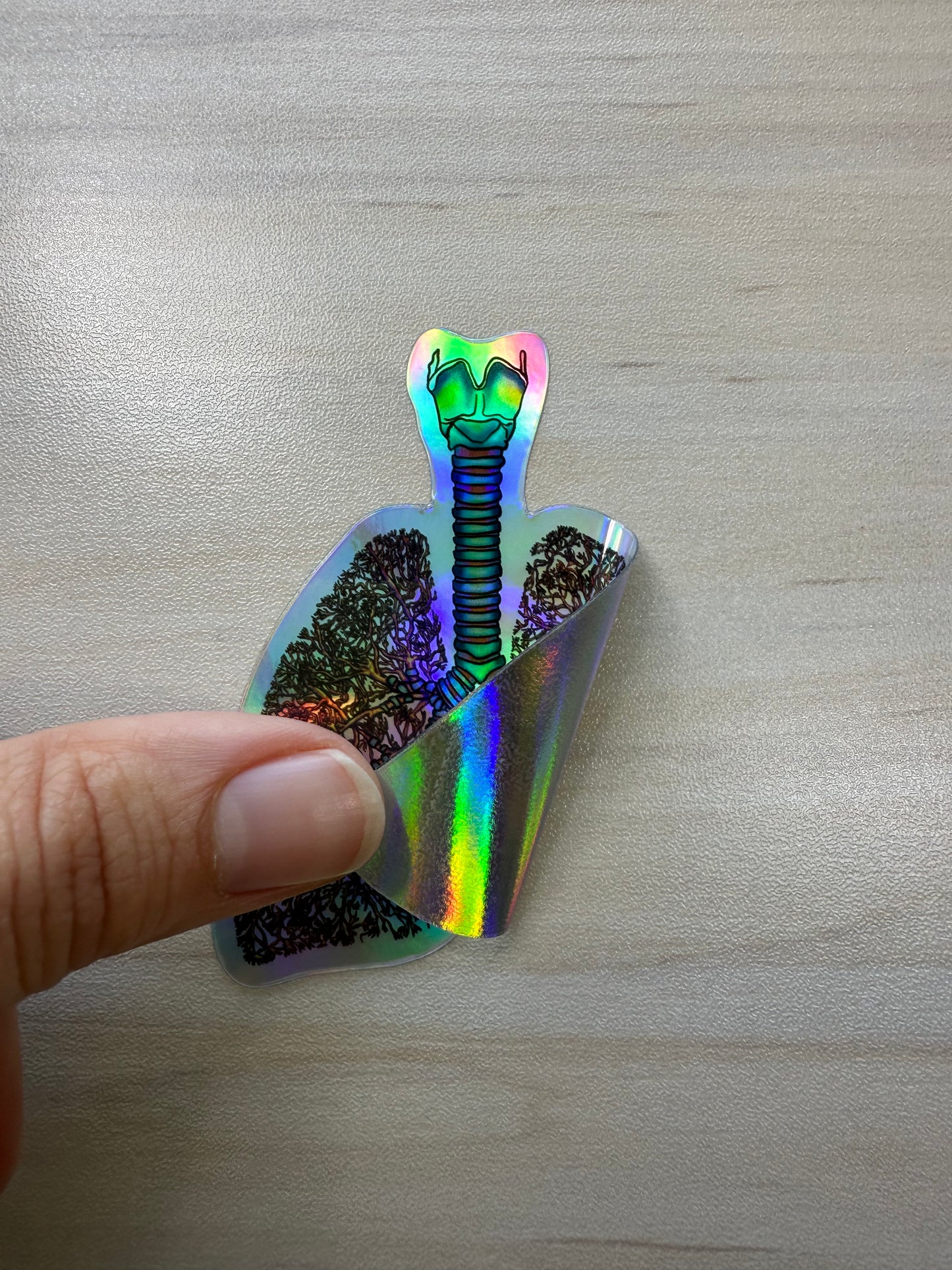Anatomical Lung Sticker with Bronchial Tree Holographic Sticker, Respiratory Therapist, Pulmonologist, Nurse Gift, Laptop Sticker