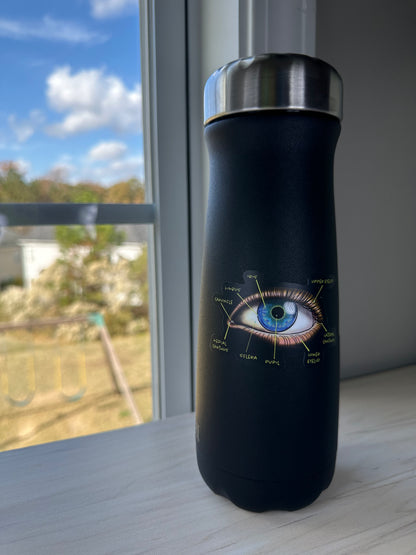 Anatomical Eye Diagram Sticker, Educational Medical Illustration, Optometry Sticker, Ophthalmology Sticker