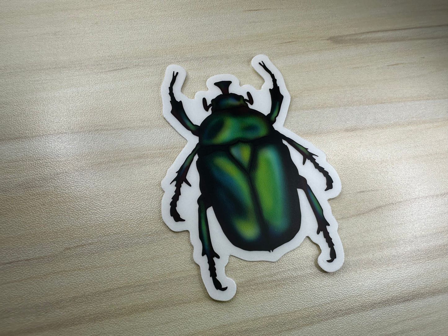 June Bug Vinyl Sticker, Green Chafer Beetle Decal, Entomology Insect Sticker