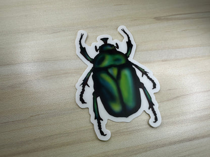 June Bug Vinyl Sticker, Green Chafer Beetle Decal, Entomology Insect Sticker